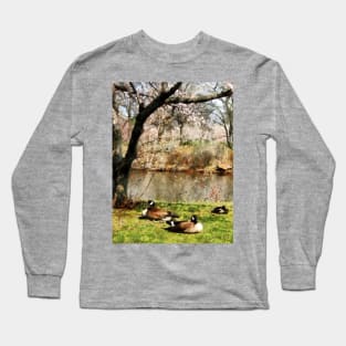 Geese - Geese Under Flowering Tree Closeup Long Sleeve T-Shirt